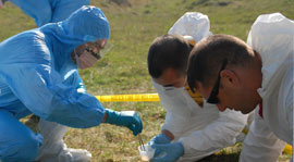 Crime scene forensic team kneeling on grass collecting evidence
